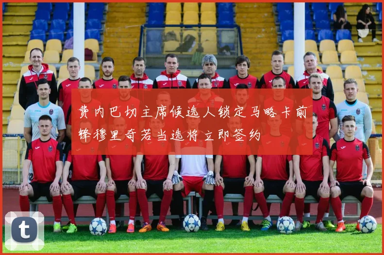 费内巴切主席候选人锁定马略卡前锋穆里奇若当选将立即签约