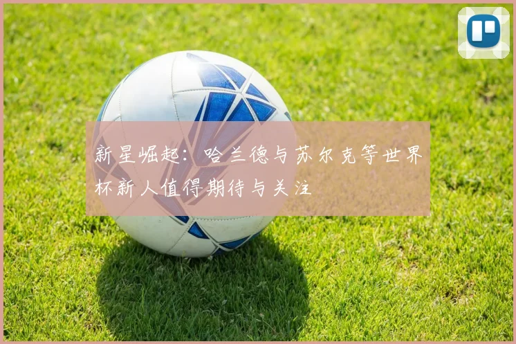 新星崛起：哈兰德与苏尔克等世界杯新人值得期待与关注